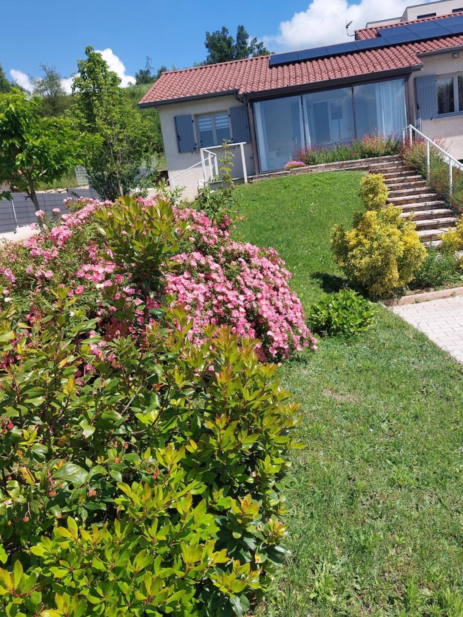 Gite Des Reguinelles Saint-Lattier Exterior photo